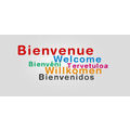 Traductions ANGLAIS/ESPAGNOL/ITALIEN/FRANCAIS. - image 1