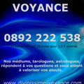 Des voyants choisis au 0892 222 538* - image 1